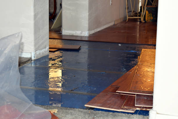 Professional Basement Flood Cleanup technician working in Mason, MI